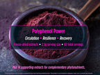 Biotest Superfood - Berry-Dense Polyphenols - 30 Servings