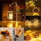 innolife LED Fairy String Lights Battery Operated Timer with Remote Control