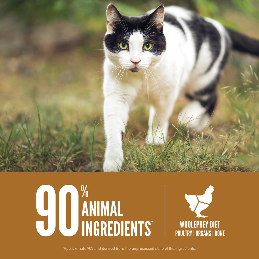 ORIJEN Grain Free WHOLEPREY Dry Cat Food Original Recipe 4lb Bag