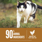 ORIJEN Grain Free WHOLEPREY Dry Cat Food Original Recipe 4lb Bag