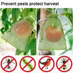 Uigidori 100 Pcs Fruit Protection Bags, 8 x 12 Inch Green Netting Cover Bags with Drawstring, Pest Barrier for Trees, Garden Cover Mesh Bags for Plant Fruit, Flower and Vegetables