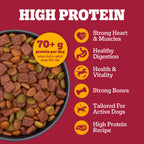 Pedigree High Protein Adult Dry Dog Food, Beef and Lamb, 18 lb