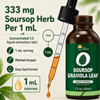 Organic Soursop Graviola Leaf Extract Liquid Drops | Pure Soursop Bitters Liquid for Immune Support | GMP Certified, Vegan, Non-GMO, Gluten Free | 1 Fl Oz