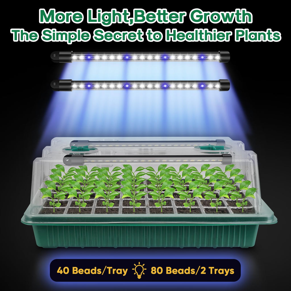 BlumWay Seed Starter Tray with Grow Light, Humidity Dome, 2 Pack 80 Cells