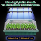 BlumWay Seed Starter Tray with Grow Light, Humidity Dome, 2 Pack 80 Cells