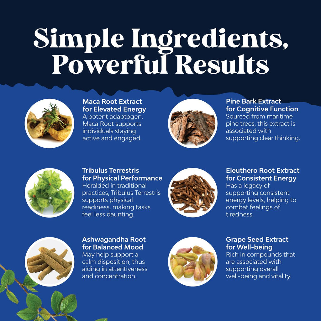 Potent Black Maca Root Capsules for Men - Herbal Wellness Supplement with Siberian Ginseng Ashwagandha and Black Maca Root - Men’s Wellness Supplement to Support General Health - 120 Count