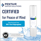 Pentair Pentek DGD-2501-20 Big Blue Sediment Water Filter, 20-Inch, Whole House Dual-Gradient Density Spun Polypropylene Cartridge, 20" x 4.5", 1 Micron, Pack of 2