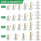 FOLIV 772PCS Grade 8 Bolt Assortment Kit, Heavy Duty Bolts and Nuts Kit, 1/4-20 5/16-18 3/8-16 1/2-13 SAE Sizes Included (Upgraded Package)