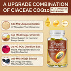 Ubiquinol CoQ10 600 MG Softgels with Omega-3 & Shilajit & PQQ, Advanced Dual-Delivery Coenzyme-Q10, Active CoQ10 Ubiquinol Supplement for Fertility, Antioxidant, Heart, Brain & Energy, 120 Servings