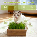 Cat Grass Kit for Indoor Cats with Wooden Planter - 5 Pack Cat Grass & 5 Coconut Soil, Complete Planting Tools, Water Sprayer, Scissors, Bonus Cat Gifts - Natural Wheat Grass for Hairball Control