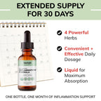 Organic Inflammation Formula Advanced Liquid Drops – Turmeric, Ginger, Boswellia & Black Pepper – Whole-Body Wellness & Inflammatory Support, Joint & Mobility Support – Vegan, Non-GMO – 60 Servings