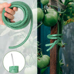 Frienda 76 ft Soft Plants Ties Flexible Foam Garden Ties 1cm Garden Twist Wire Reusable Cut to Size for Climbing Plants Vines Tomatoes Home Office Tying Veggies Flower Supplies Craft, Green