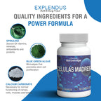 Celulas Madres- Stem Cell Supplement for Anti-Aging & Longevity, Non-GMO, Gluten-Free, Vegetarian Capsules, 60 Count (4)