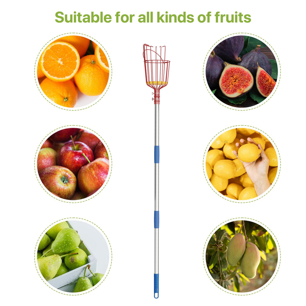 Fruit Picker, 8 ft Long Fruit Picker Pole with Basket Telescoping, Apple Fruit Tree Picker with Pole Extendable, Fruit Grabber & Cather with Stainless Steel Pole for Mango, Orange, Fig, Lemon