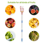 Fruit Picker, 8 ft Long Fruit Picker Pole with Basket Telescoping, Apple Fruit Tree Picker with Pole Extendable, Fruit Grabber & Cather with Stainless Steel Pole for Mango, Orange, Fig, Lemon