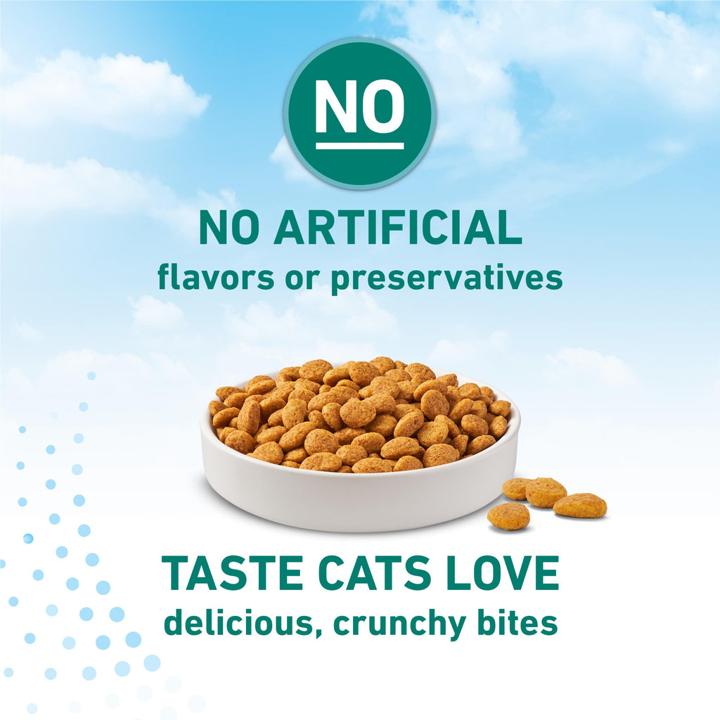 Purina ONE LiveClear Allergen-Reducing Dry Cat Food, 3 lb. Bag