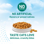 Purina ONE LiveClear Allergen-Reducing Dry Cat Food, 3 lb. Bag
