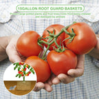 Foyego 4Pack 15 Gallon Root Guard Gopher Baskets for Plants