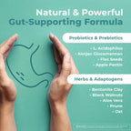 GutOptim – Pre & Probiotic Enzyme Capsules – 60 Ct, 1 Month Supply