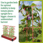 Gardener's Supply Company Lifetime Tomato Cages, Red, Set of 4