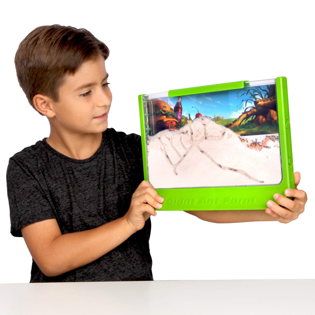 Uncle Milton Giant Ant Farm - Large Viewing Area - Care for Live Ants - Nature Learning Toy - Science DIY Toy Kit - Great Gift for Boys & Girls, Green