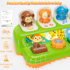 Duchong Pop Up Toys for 1 Year Old Boy Girls, Interactive Cause and Effect Learning Toys with Music & Light for Baby 6 7 8 9 10 11 12 Months, Christmas Birthday 1st Gifts for Toddlers