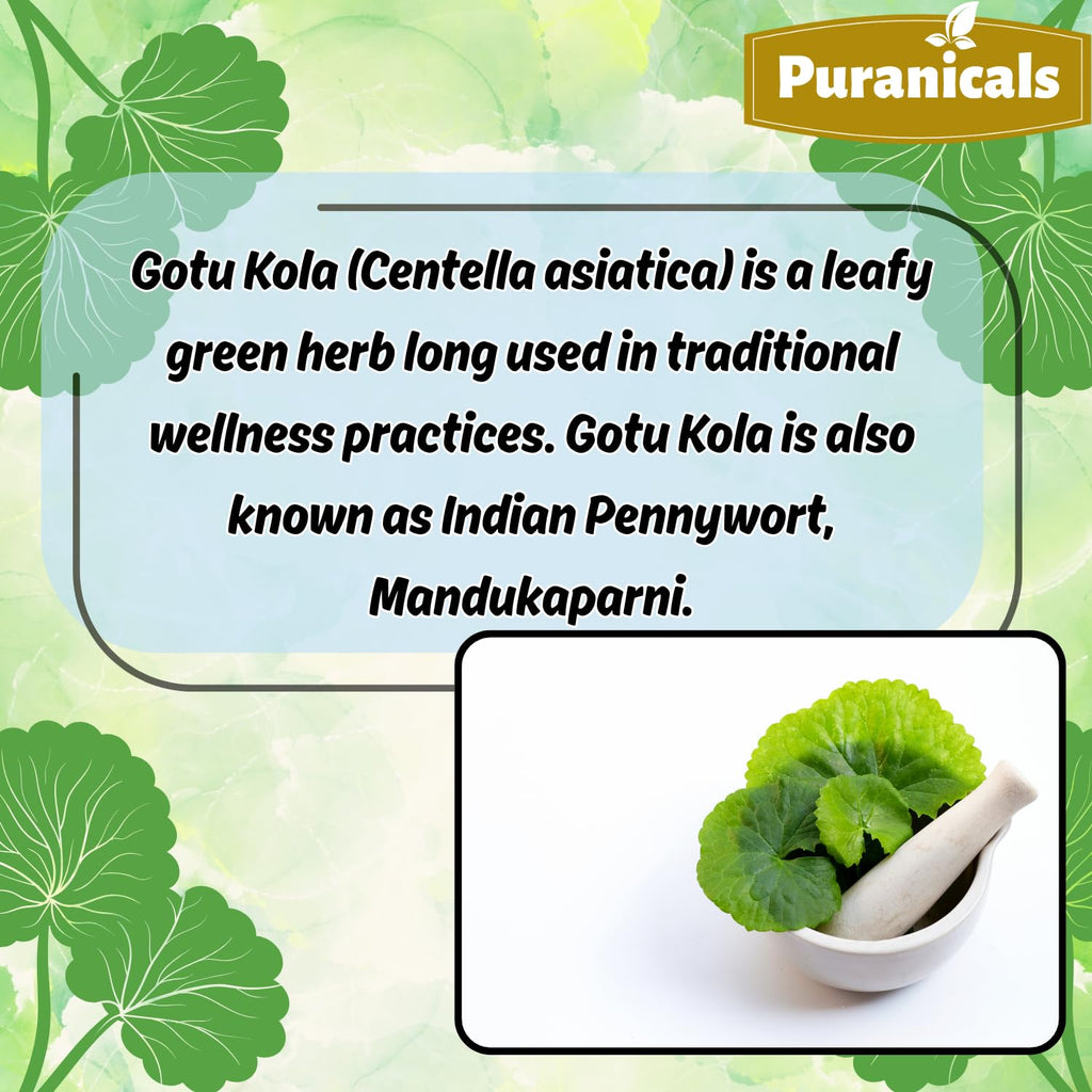 Puranicals Gotu Kola Premium 320 Capsules Non GMO and Gluten Free | Herbal Supplement | 600 mg Per Serving | Made with 100% Pure Gotu Kola Powder