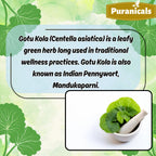 Puranicals Gotu Kola Premium 320 Capsules Non GMO and Gluten Free | Herbal Supplement | 600 mg Per Serving | Made with 100% Pure Gotu Kola Powder