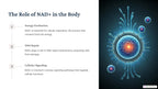 NAD+RESVERATROL