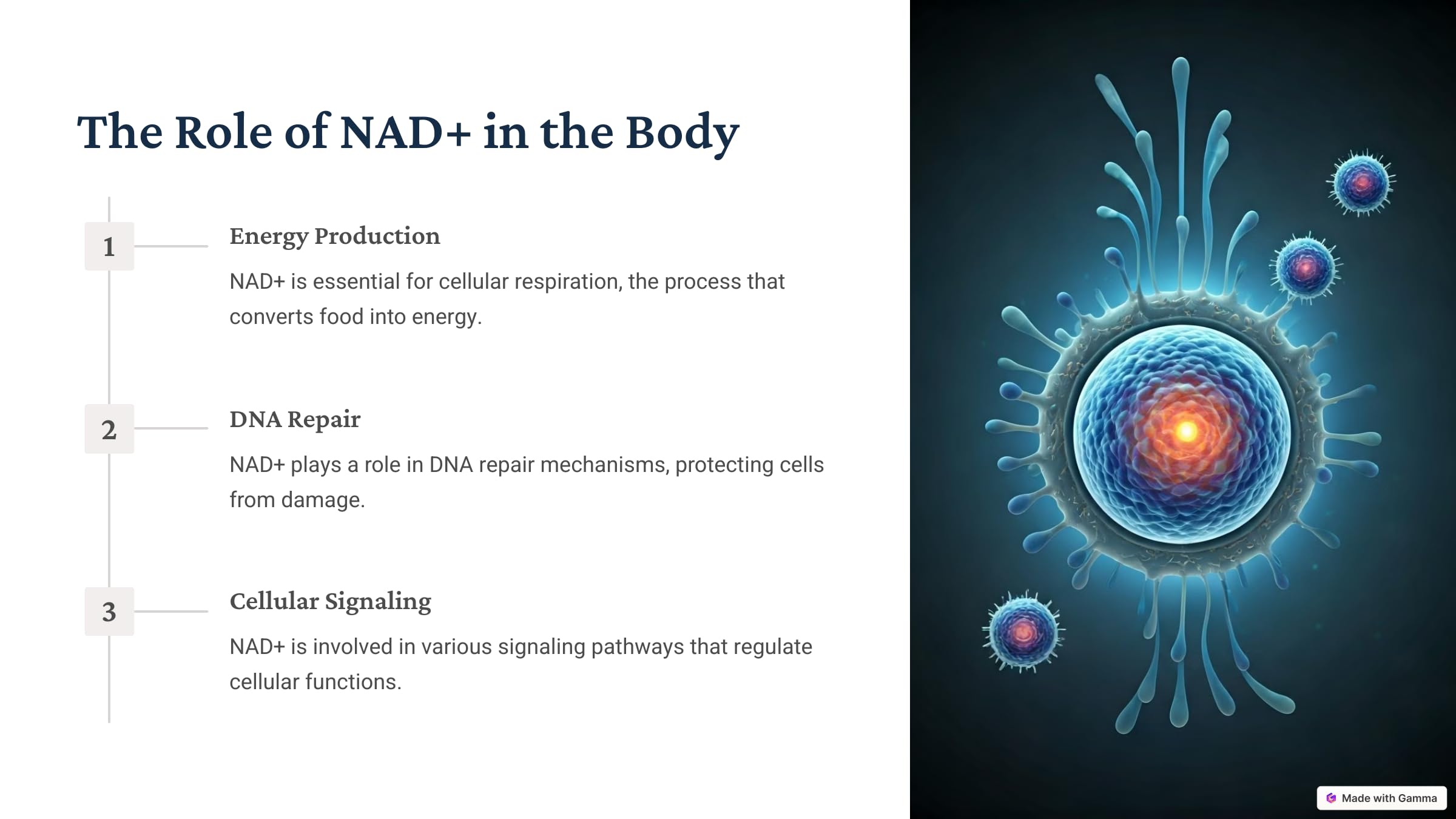 NAD+RESVERATROL