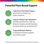 Rainbow Light Berberine Supplement with Ceylon Cinnamon | 60 Capsules