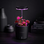 Raygrov Self-Watering Planter with Grow Light, Smart Indoor Pot for Venus Fly Trap, Carnivorous Plants, African Violet, Cat Grass, Catnip & Herbs, 2-in-1 Wall + Desktop, USB 5W Full Spectrum LED