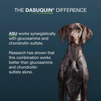 Nutramax Dasuquin MSM Joint Supplement for Large Dogs, Soft Chews, 150ct