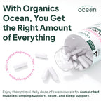 Organics Ocean Pure Magnesium Glycinate with Zinc - Maximum Strength Chelated Magnesium Supplement for Women and Men for Muscle Cramps and Sleep Support - 2 Bottles