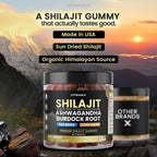 Pure Shilajit Gummies, Sea Moss, Ashwagandha, 105+ Trace Minerals – Organic Burdock Root & Lions Mane Mushroom – Watermelon Flavor - Vegan & Non-GMO – Made in USA – 60ct