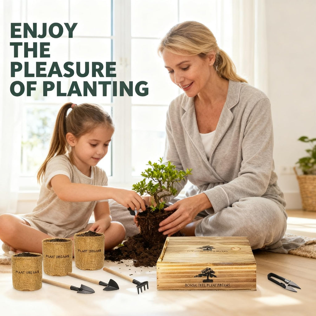 Bonsai Tree Starter Kit for Beginners - Indoor Live Plant Gardening Adult Craft DIY Kits - Unique Christmas, Birthday, White Elephant Gifts for Women, Men, Boys & Girls