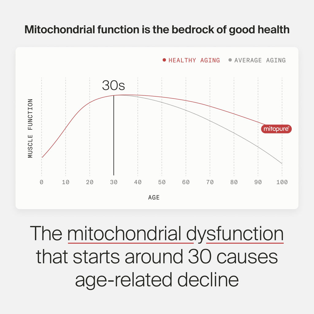 Timeline Mitopure Urolithin A Supplement - Clinically Proven Support for Healthy Aging and Cellular Renewal - Mitoceutical for Muscle Strength and Longevity - 60 Softgels
