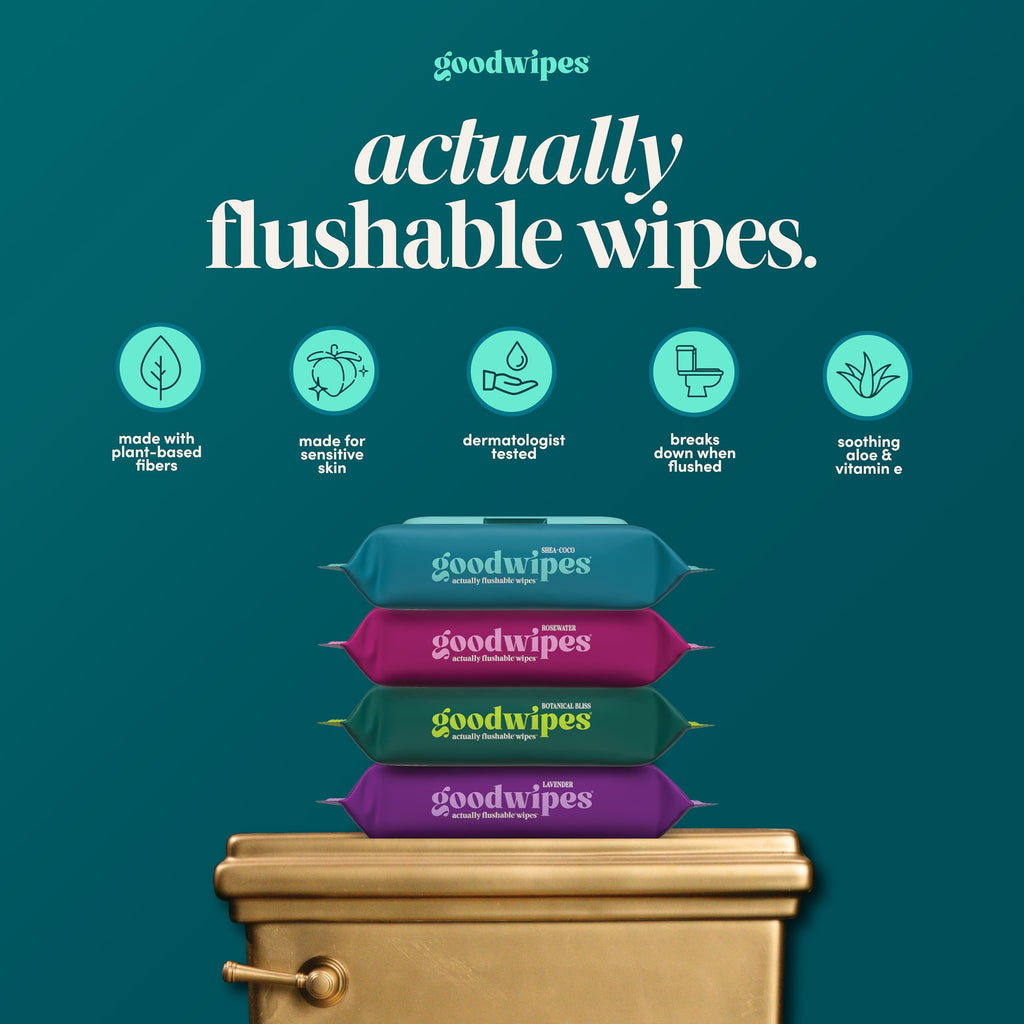 goodwipes Flushable Wipes - Shea-Coco, 153 Wipes (3 Pack + 3 Singles)