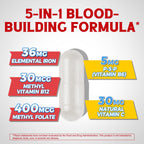 Iron Supplement for Women & Men, with Vitamins C, B6, B12 & Folate for Iron Deficiency, Blood Building & Energy Support, Stomach Friendly, Better Absorption, Non-GMO, No Gluten, 90 Vegan Caps