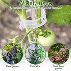 100 Plant Support Clips Reusable Garden Clips, Secured Plastic Plant Clips, Tomato Support Clips for Climbing Plants,Grape and Vine Vegetables Outdoor Indoor Plant Fixing Clips