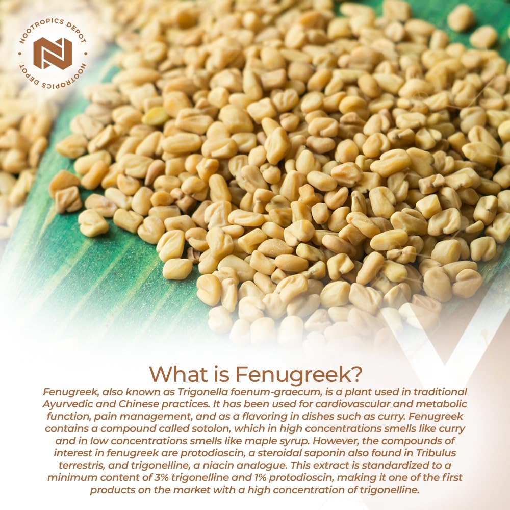 Nootropics Depot Fenugreek Extract Capsules | 500mg | 60 ct | 3% Trigonelline, 1% Protodioscin | Trigonella foenum-graecum | Mood, Fitness, & Metabolic Function