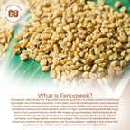 Nootropics Depot Fenugreek Extract Capsules | 500mg | 60 ct | 3% Trigonelline, 1% Protodioscin | Trigonella foenum-graecum | Mood, Fitness, & Metabolic Function