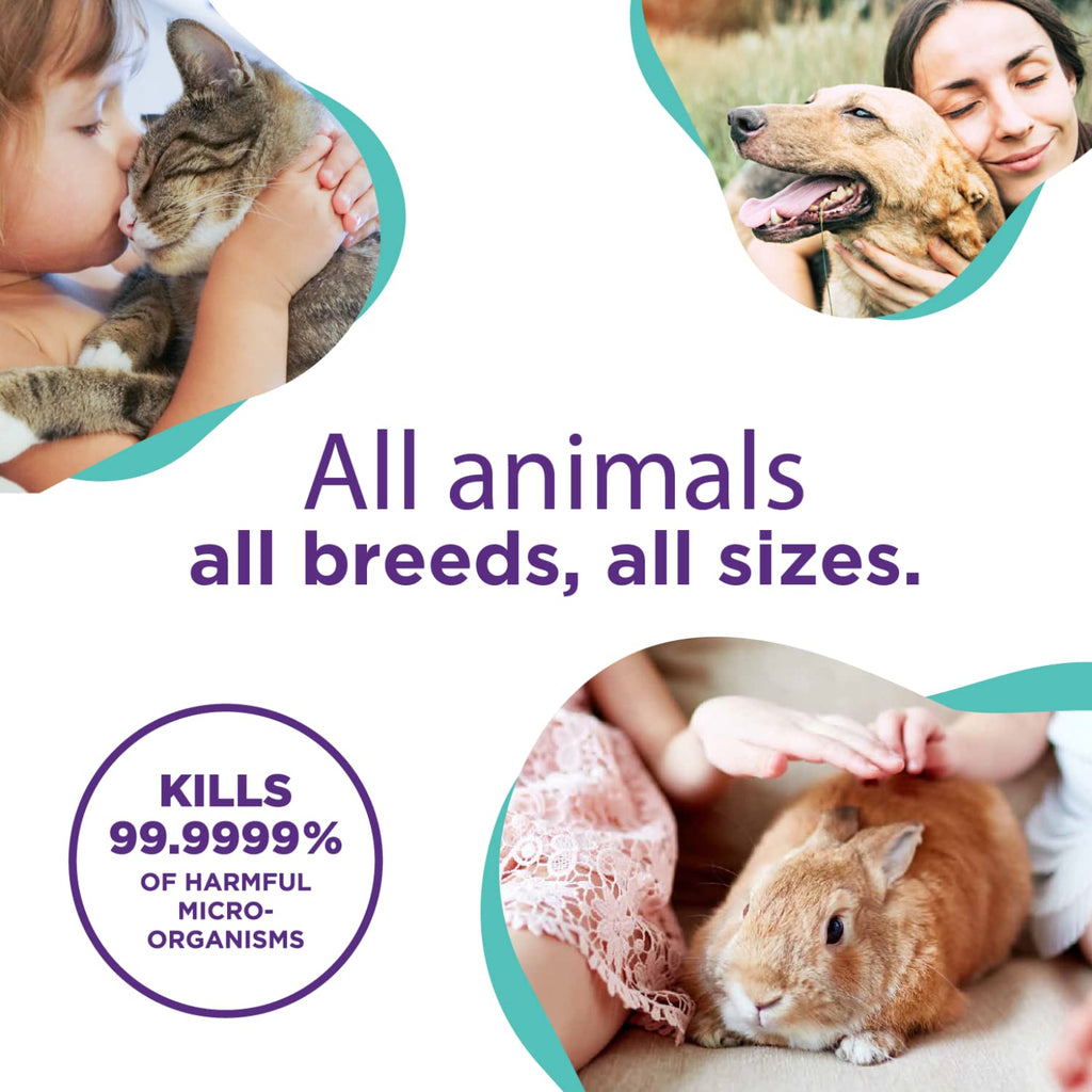 RenaSan Animal Antiseptic Ear Drops – Ear Disinfection, Kills bacteria, Stops Odours, Scratching & Discomfort, Anti-fungal (Yeast), Veterinary-grade, for Dogs, Cats & all other animals (100ml)