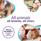 RenaSan Animal Antiseptic Ear Drops – Ear Disinfection, Kills bacteria, Stops Odours, Scratching & Discomfort, Anti-fungal (Yeast), Veterinary-grade, for Dogs, Cats & all other animals (100ml)