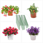36Packs Plant Support Stake Half Round Plant Support for Indoor Plants, Stackable 3 Tier Garden Flower Support, Plant Rings for Tomato,Monstera, Peony, Hydrangea, Climbing Plants