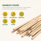 Cambaverd Bamboo Stakes 3ft, 50 Pack Garden Stakes, Bamboo Sticks for Plant