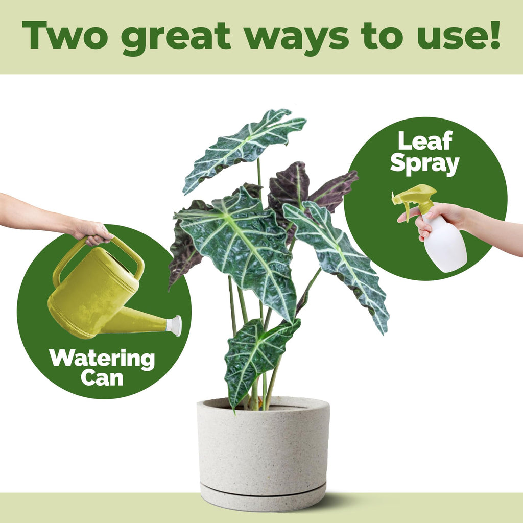 Alocasia Fertilizer, Complete Liquid Alocasia Plant Food, 32 oz (1 Quart)