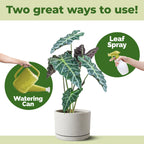 Alocasia Fertilizer, Complete Liquid Alocasia Plant Food, 32 oz (1 Quart)