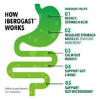 Iberogast Liquid Drops, Herbal Relief of Stomach Upsets: Occasional Indigestion, Bloating, Gas, Nausea, Upset Stomach; Gluten Free; 6-Herb Blend with Iberis Amara, Peppermint, Licorice; 50mL