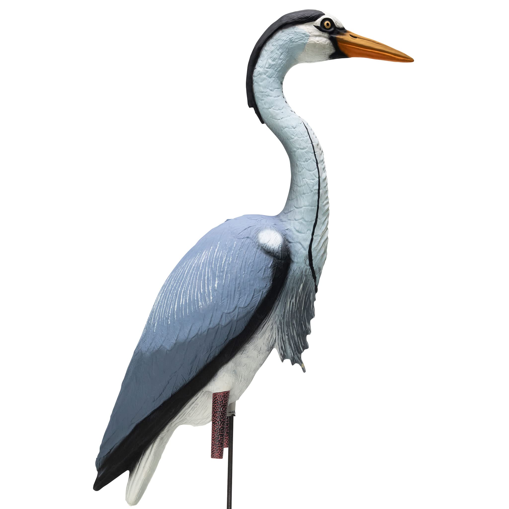 Higdon Outdoors Blue Heron Confidence Decoy for Waterfowl and Ornamental Water Garden, Pond and Landscape Decoration Plus Pest Deterrent